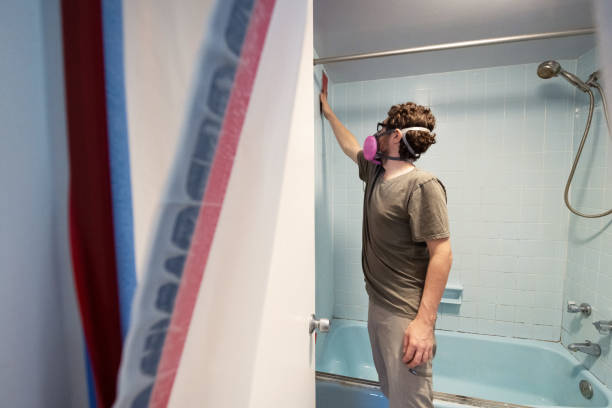 Best HVAC Mold Inspection and Cleaning  in , CO