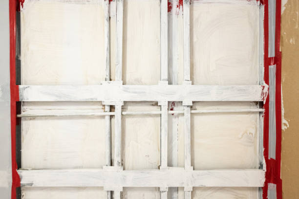 Best Mold Prevention Services  in , CO