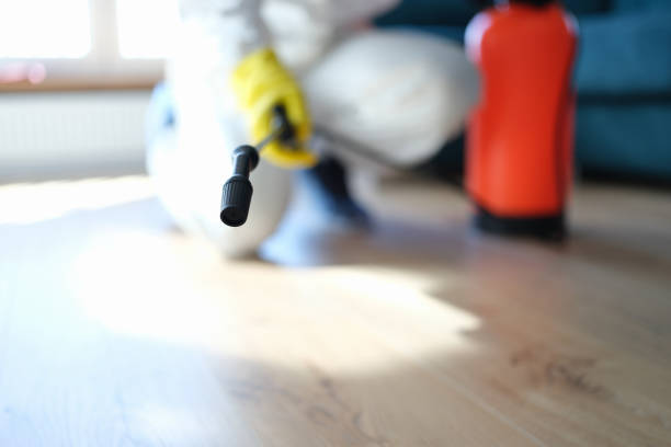 Best Comprehensive Air Testing for Mold Contaminants  in , CO