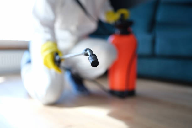 Best Mold Removal for HVAC Installations  in , CO