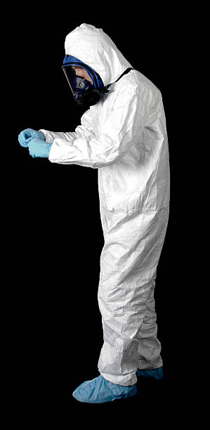 Best Attic Mold Removal  in , CO