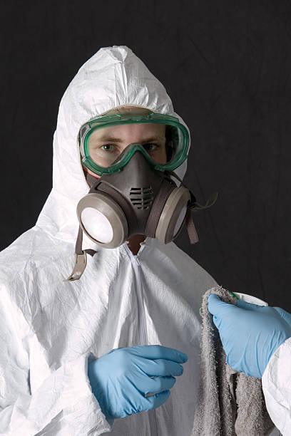 Best Black Mold Removal  in , CO